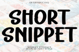 Short Snippet Font