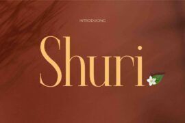 Shuri Font