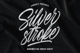 Silver stroke Font