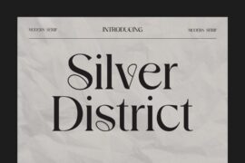 SilverDistrict Font