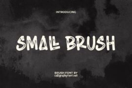 Small Brush Demo Font
