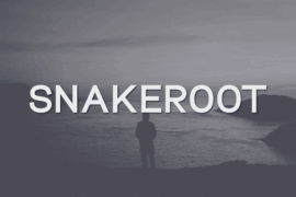 Snakeroot Font