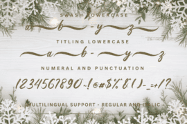 Snowberry Brush Font