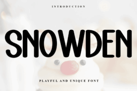 Snowden Font