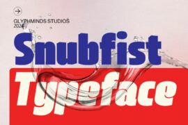 Snubfist Font Family