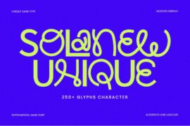 SolanewDemo Font
