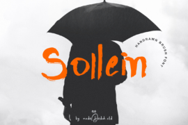 Sollein DEMO Font