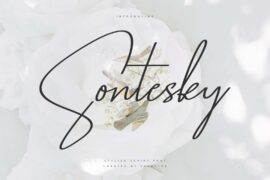 Sontesky Font
