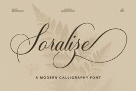 Soralize Font