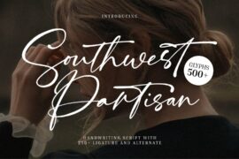 Southwest Partisan Demo Font