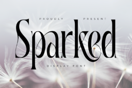 Sparked Display Demo Font