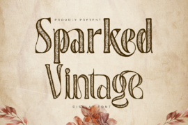 Sparked Vintage Demo Font