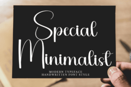Special Minimalist Font