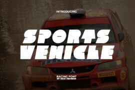 Sports Vehicle Demo Font