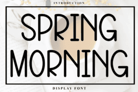 Spring History Font