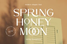 Spring Honeymoon Personal Use Font