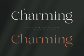 SS Charming-Classy Font