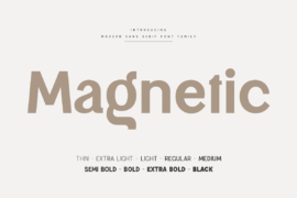 SS Magnetic Font