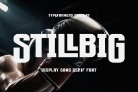 Stillbig Font