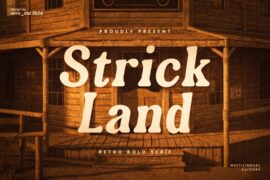 Strickland Font