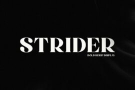 Strider Font