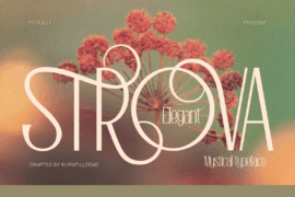 Strova Demo Font