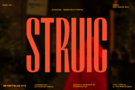 Struic Font