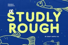 Studly Rough Demo Font