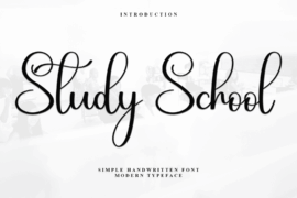 Study School Font