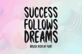 Success Follows Dreams Font