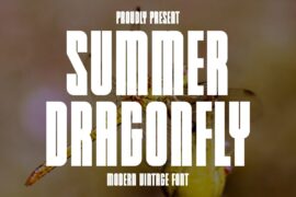 Summer Dragonfly Font