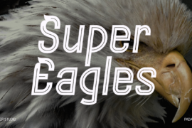 Super Eagle Font Family