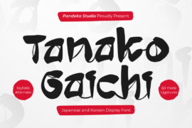 Tanako Gaichi DEMO Font
