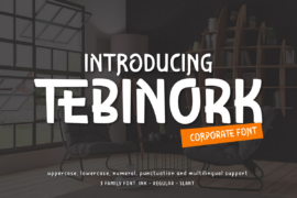 TEBINORK Trial Font