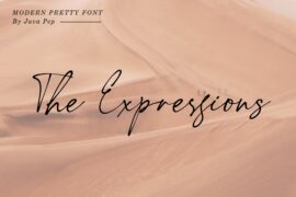 The Expressions Demo Font