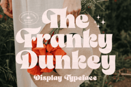 The Franky Dunkey Personal Use Font