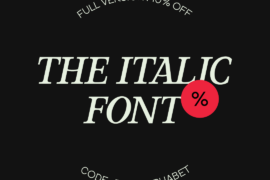 THE ITALIC FONT Font