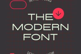 THE MODERN FONT Font