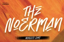 The Noerman Font