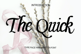 The Qui Font