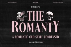 The Romanty Demo Font