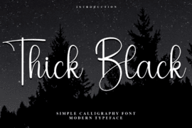 Thick Black Font