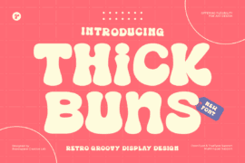 Thick Buns Font Family