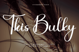 This Bulky Font