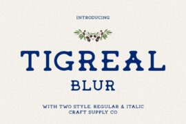 Tigreal Blur Demo Font