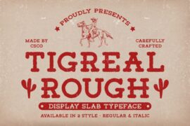 Tigreal Rough Demo Font