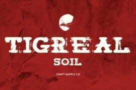Tigreal Soil Demo Font