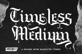 Timeless Medium Demo Font