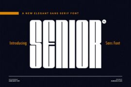 TL Senior Font