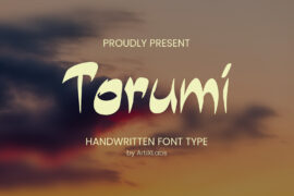 Torumi DEMO Font